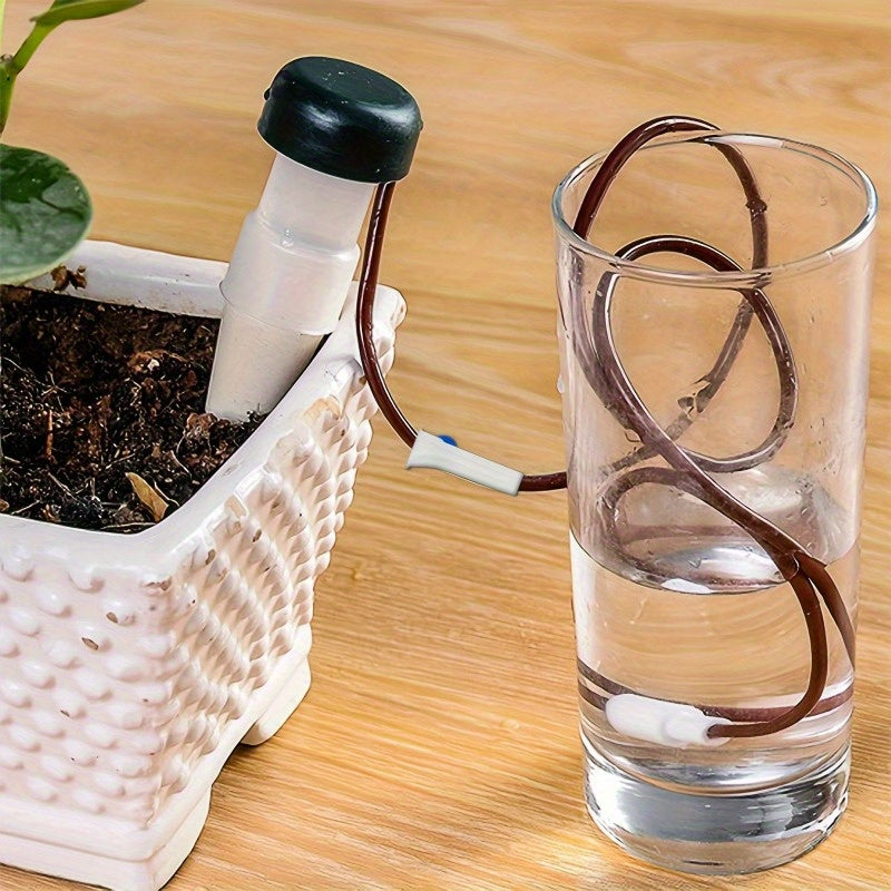 Seramika o'z-o'zini sug'oradigan o'simliklar uchun 6 ta to'plam ichki va tashqi o'simliklar