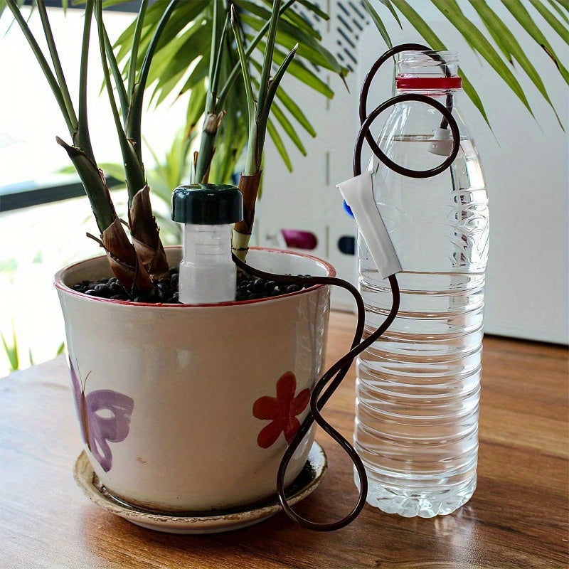 Seramika o'z-o'zini sug'oradigan o'simliklar uchun 6 ta to'plam ichki va tashqi o'simliklar