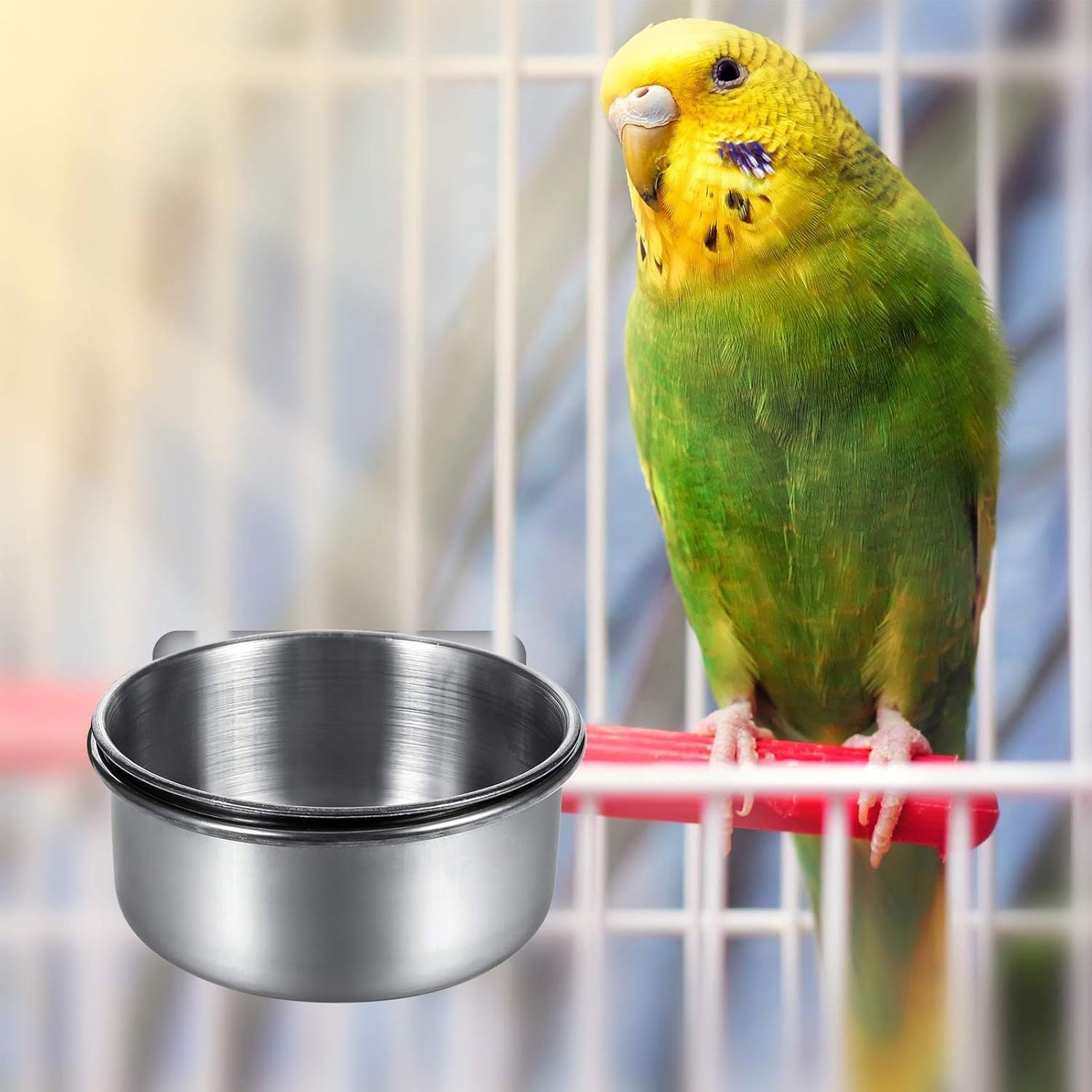Stainless Steel Reptile Feeding Dish with Clamp Holder for Water and Food