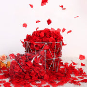 Fake Rose Petals for Wedding and Valentine's Day Decor, 1000 Pieces