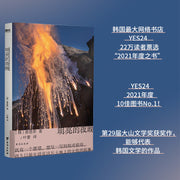 Chinese Fiction Book Bright Night Paperback Simplified Chinese 296 Pages