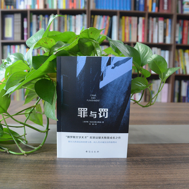 Simplified Chinese Edition of Crime and Punishment Paperback 312 Pages 2020