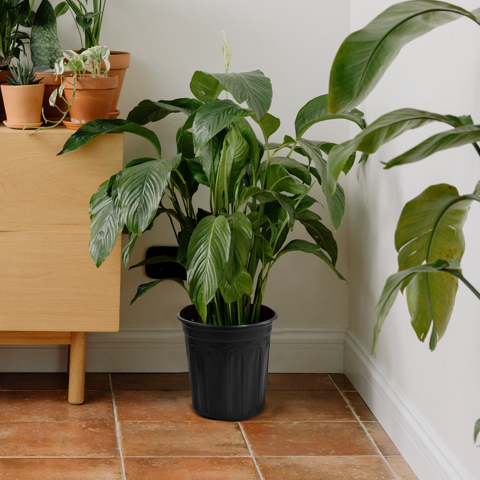 20 dona katta o'simlik idishlari 3.79L qora plastmassa ichki va tashqi bog'dorchilik uchun