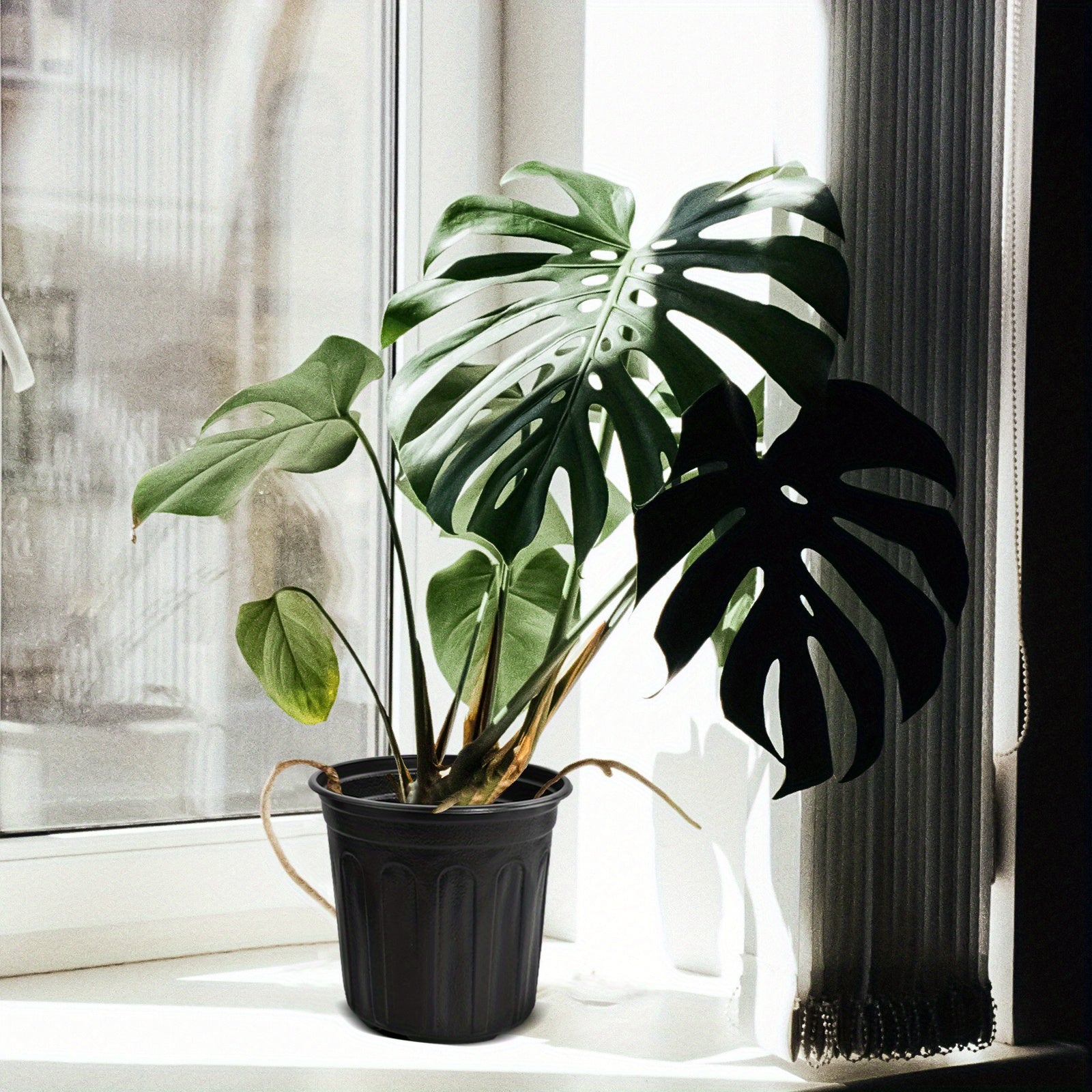 20 dona katta o'simlik idishlari 3.79L qora plastmassa ichki va tashqi bog'dorchilik uchun