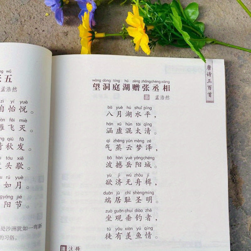 Chinese Simplified Tang Poems Book 224 Pages Paperback for Ages 11+