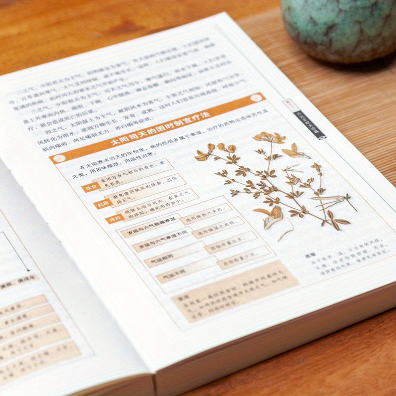 Illustrated Huangdi Neijing Translation Paperback Chinese Medical Text 661 Pages