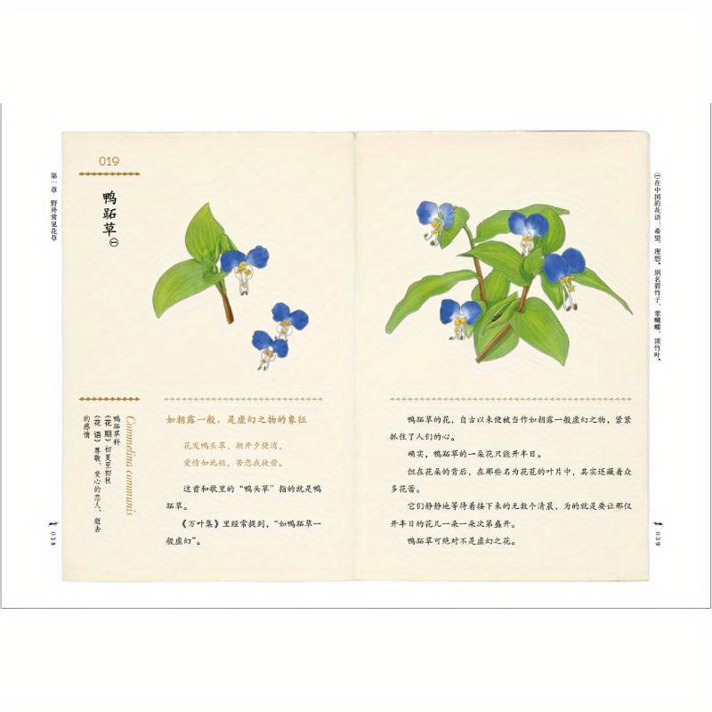 Chinese Flower Meanings and Stories Book with 105 Flowers and Plants Hardcover