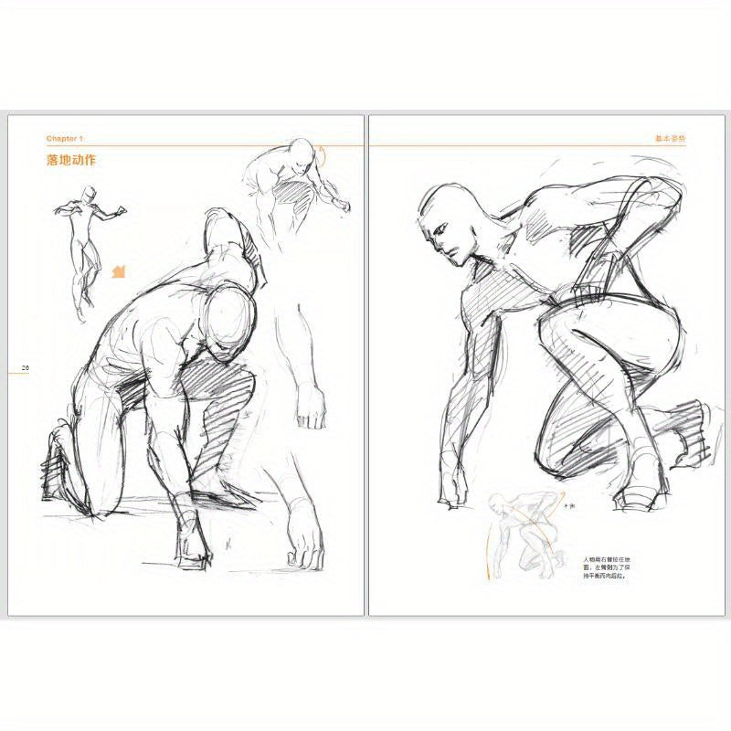Human Figure Drawing Book Muscle Anatomy Edition Paperback Chinese Language
