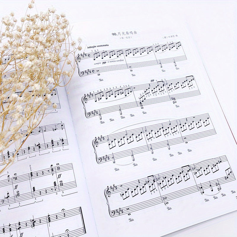 Chinese Edition 100 Classical Piano Pieces Music Book Paperback for Beginners