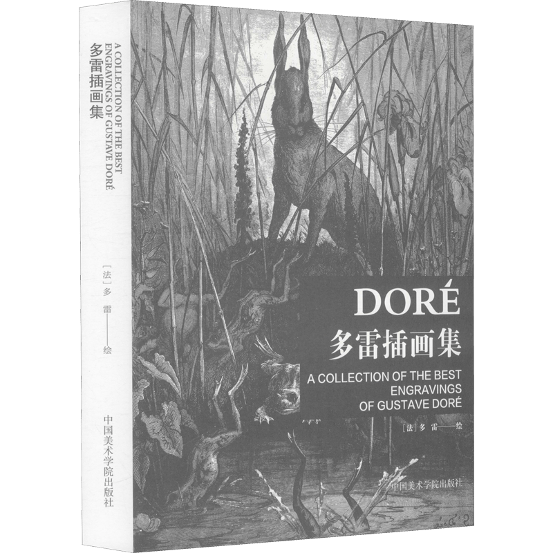 Chinese Simplified Chinese Dore Illustration Collection Paperback 264 Pages