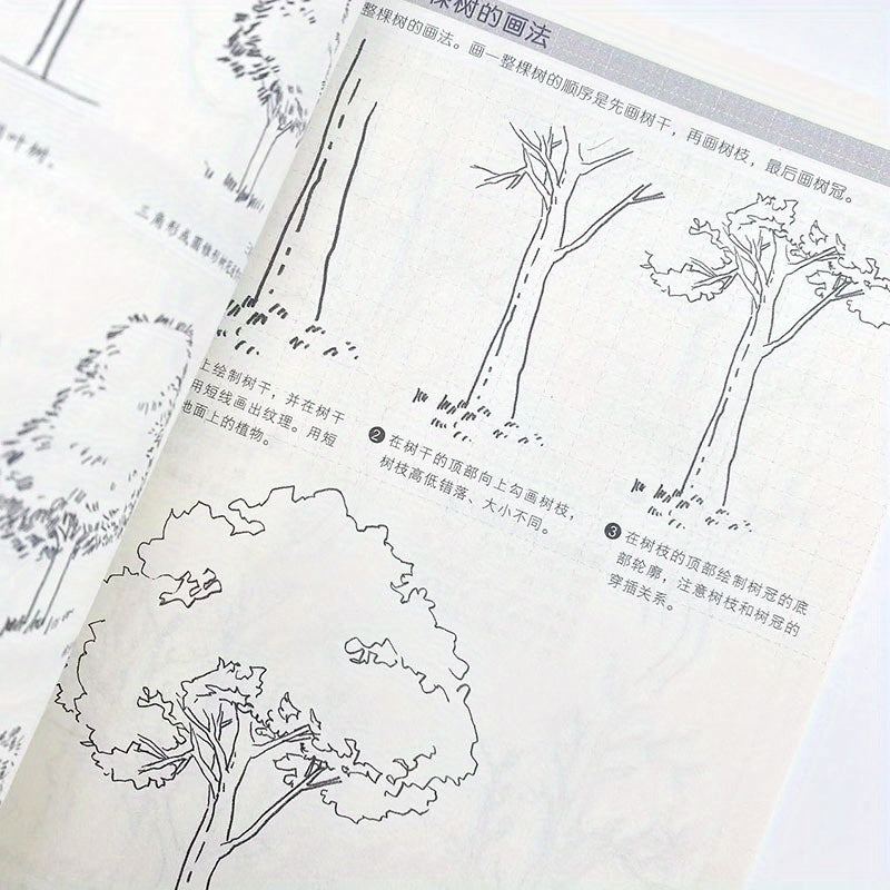 Sketching Basics Art Book for Beginners in Chinese with Practical Exercises