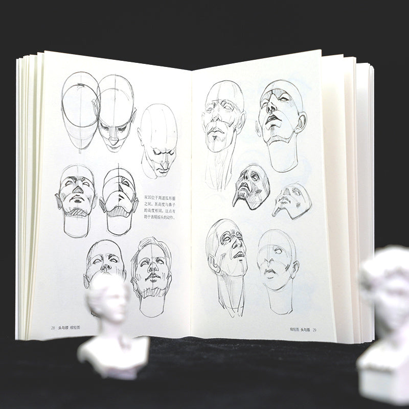 Pocket Edition Human Anatomy Books Set of 5 in Simplified Chinese for Ages 11-90 Paperback