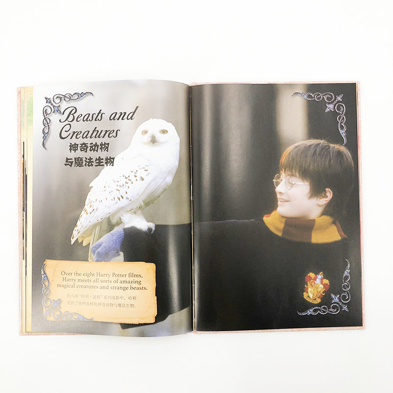 Children's Hardcover Book Harry Potter Movie Character English-Chinese Bilingual for Ages 4+