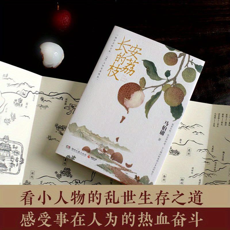 Chinese Paperback Book Long An Lychee Novel for Ages 11 and Up
