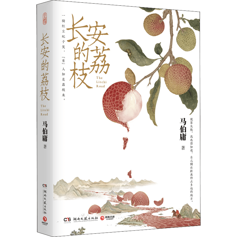 Chinese Paperback Book Long An Lychee Novel for Ages 11 and Up