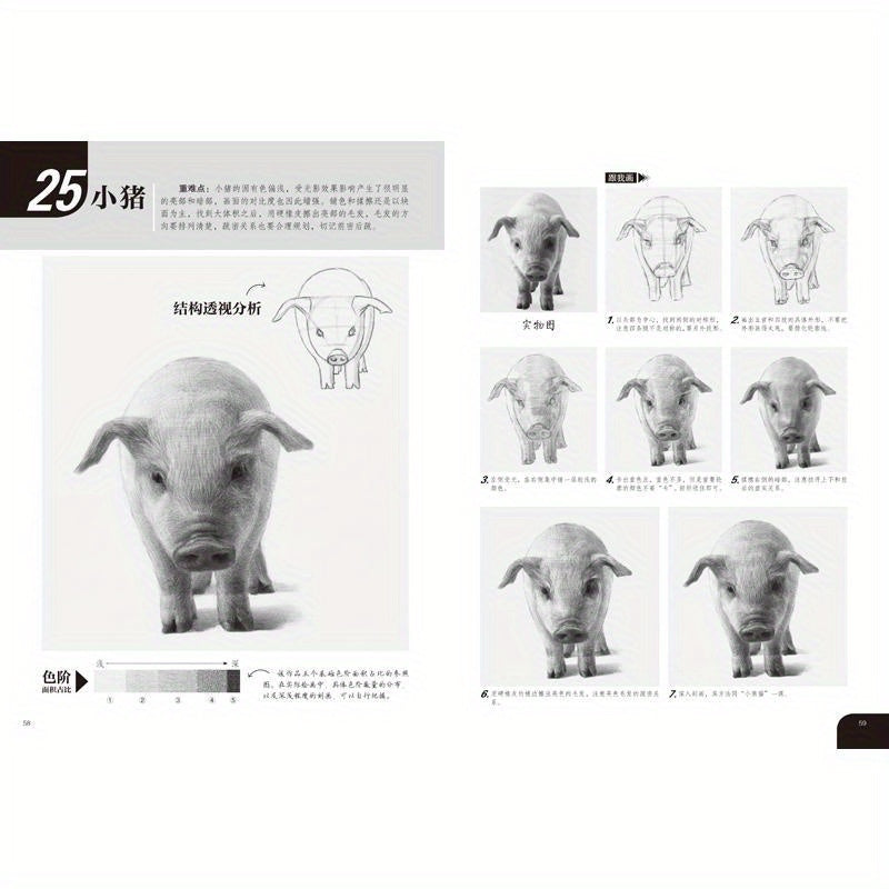 Easy to Draw Insects and Animals Sketchbook for Beginners Chinese Version