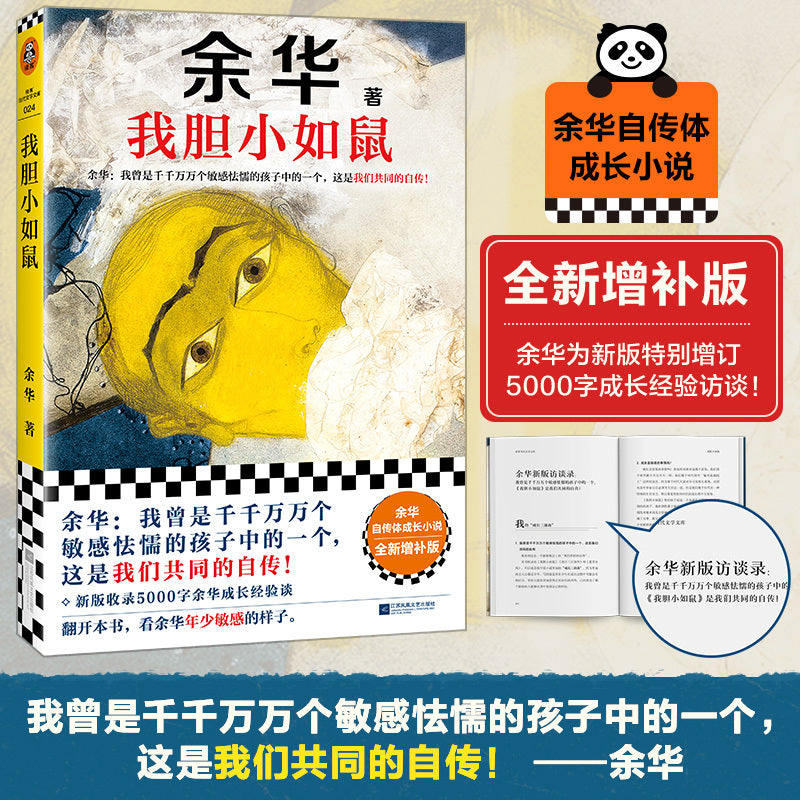 Chinese Edition Children's Paperback Book 256 Pages Simplified Chinese for Ages 11 and Up