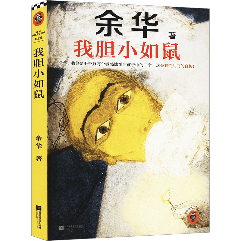 Chinese Edition Children's Paperback Book 256 Pages Simplified Chinese for Ages 11 and Up