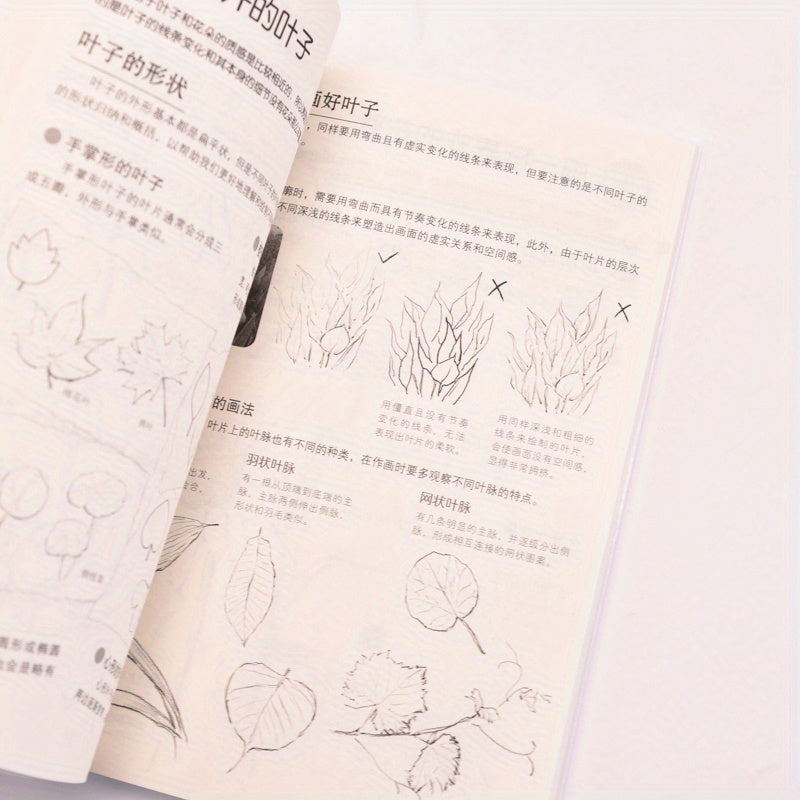 Sketching Book for Beginners Chinese Version Paperback Art Tutorial for Aspiring Artists