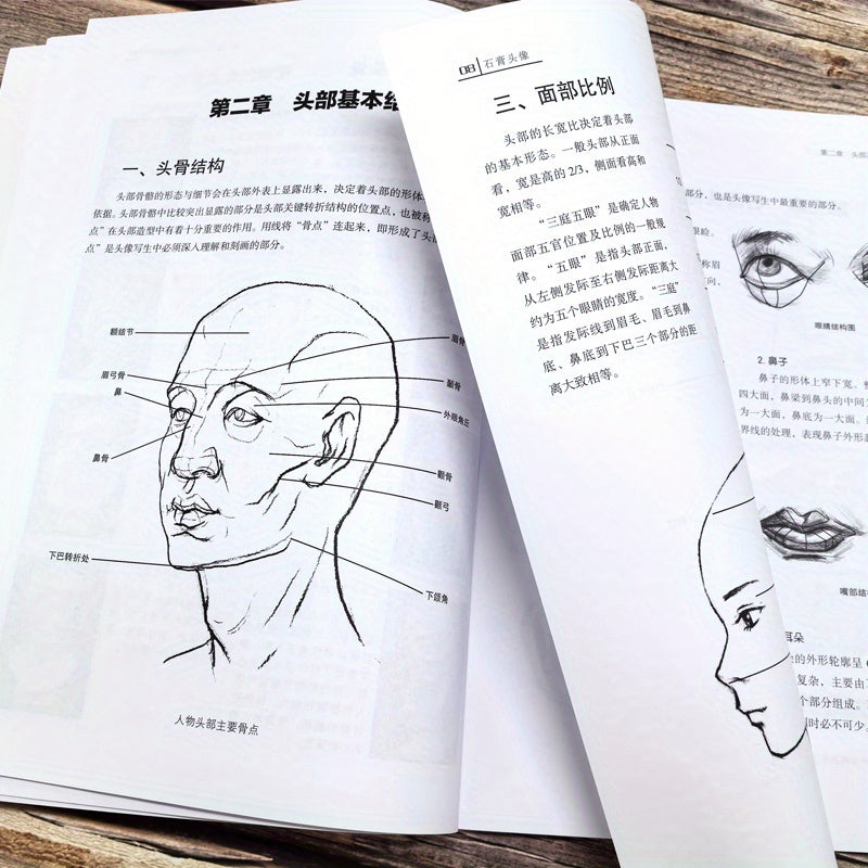 Basic Sketching Tutorial on Gypsum Head Art & Craft Book for Beginners in Chinese
