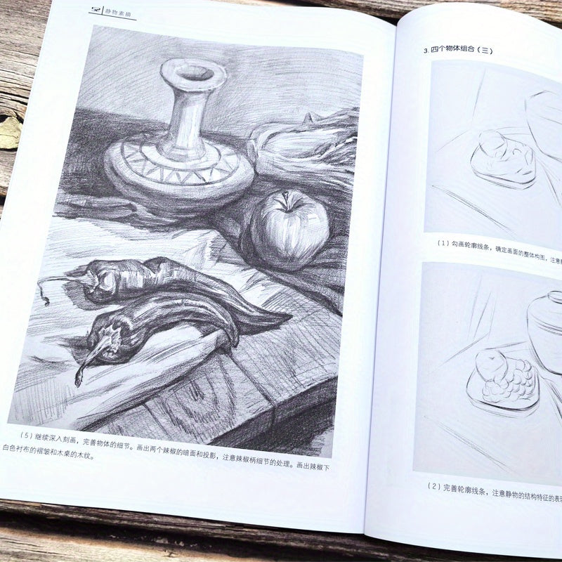 Still Life Sketching Guide in Chinese Paperback Art Book for Beginners