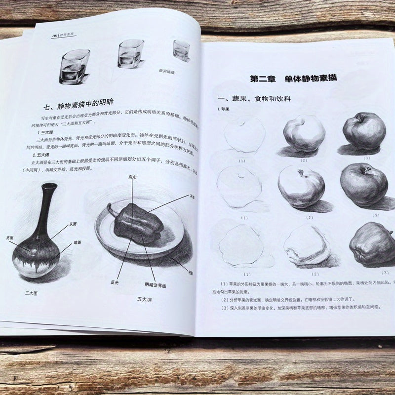 Still Life Sketching Guide in Chinese Paperback Art Book for Beginners