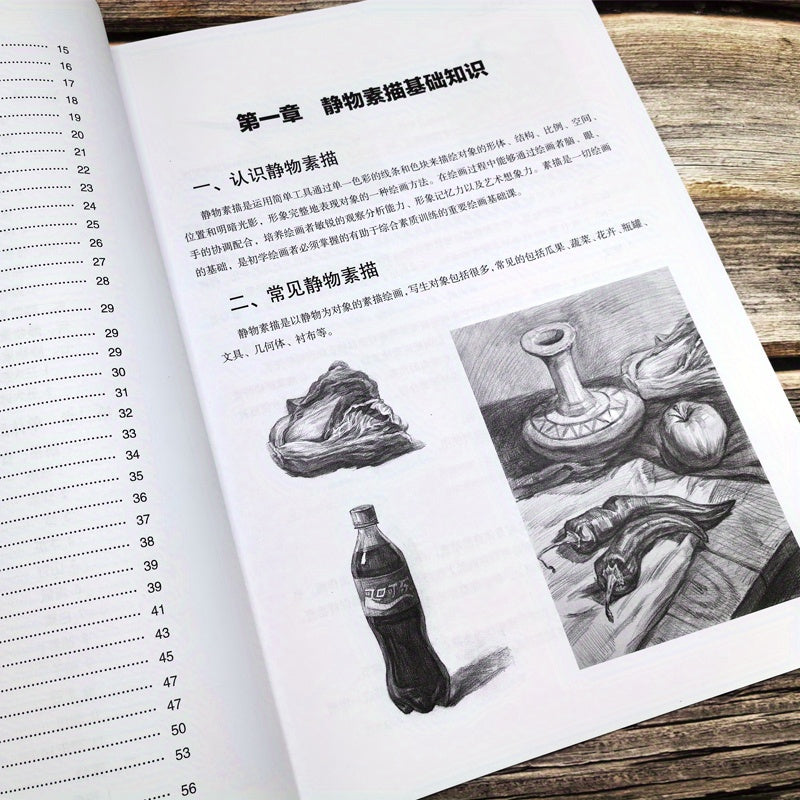 Still Life Sketching Guide in Chinese Paperback Art Book for Beginners
