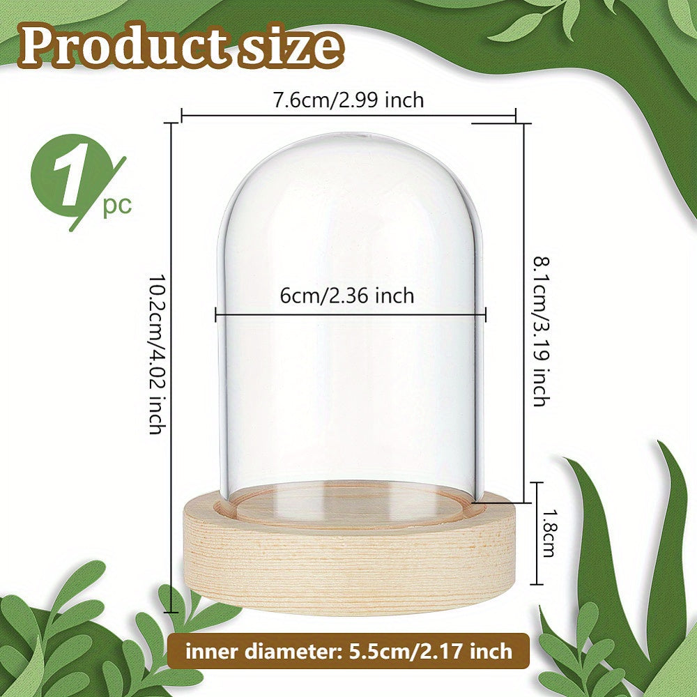 Vitrina con cúpula de cristal y base de madera, campana de 6.1cm x 8.0cm, terrario en forma de campana