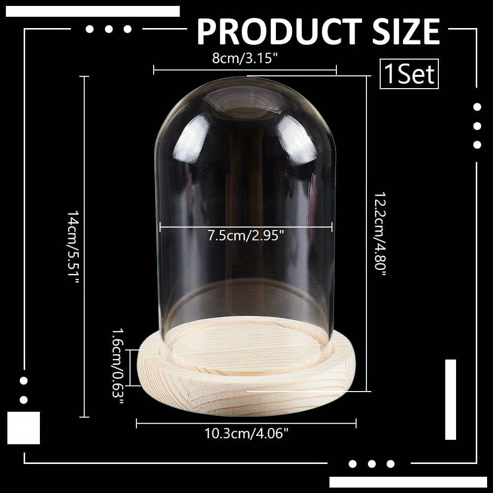 Vitrina con cúpula de cristal y base de madera, campana de 6.1cm x 8.0cm, terrario en forma de campana