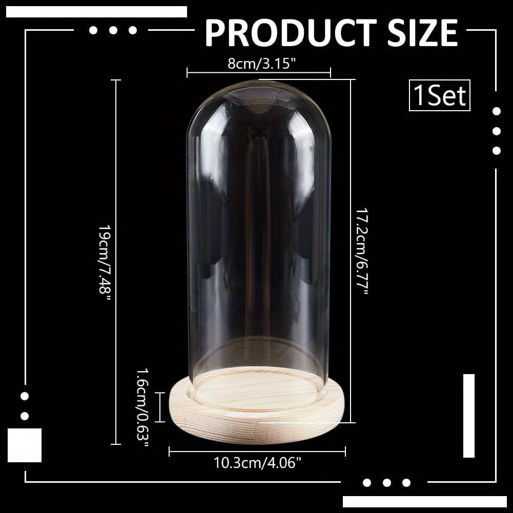 Vitrina con cúpula de cristal y base de madera, campana de 6.1cm x 8.0cm, terrario en forma de campana