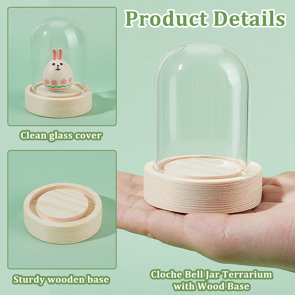 Glass Dome Display Case with Wooden Base, 6.1cm x 8.0cm Cloche Bell Jar Terrarium