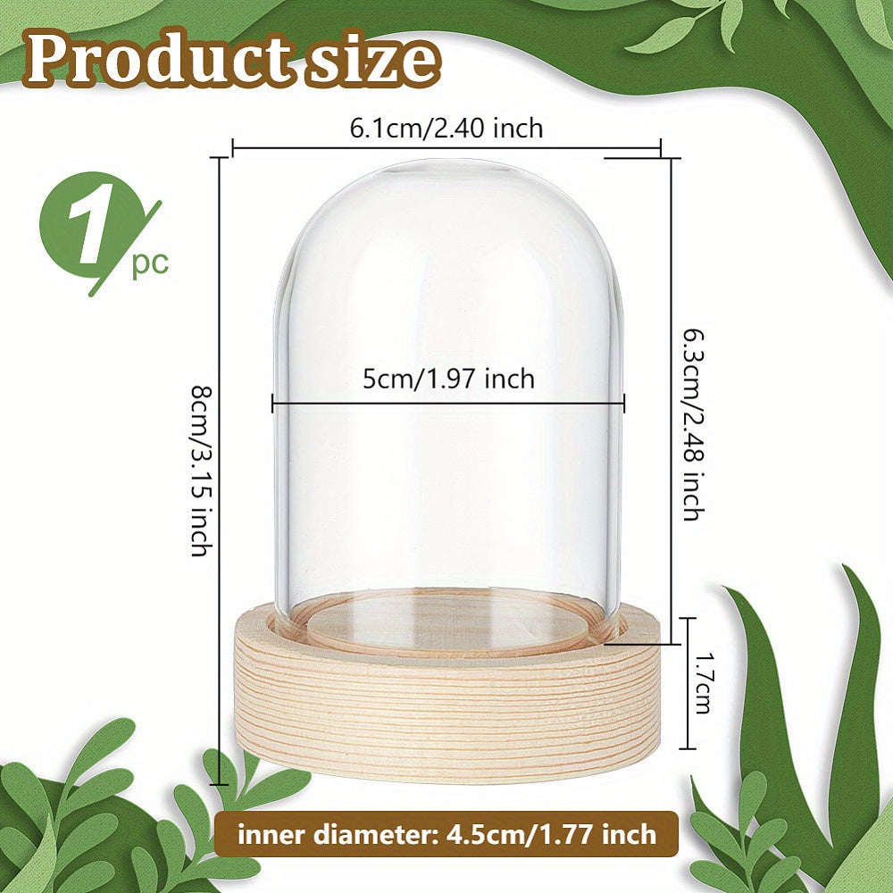 Glass Dome Display Case with Wooden Base, 6.1cm x 8.0cm Cloche Bell Jar Terrarium