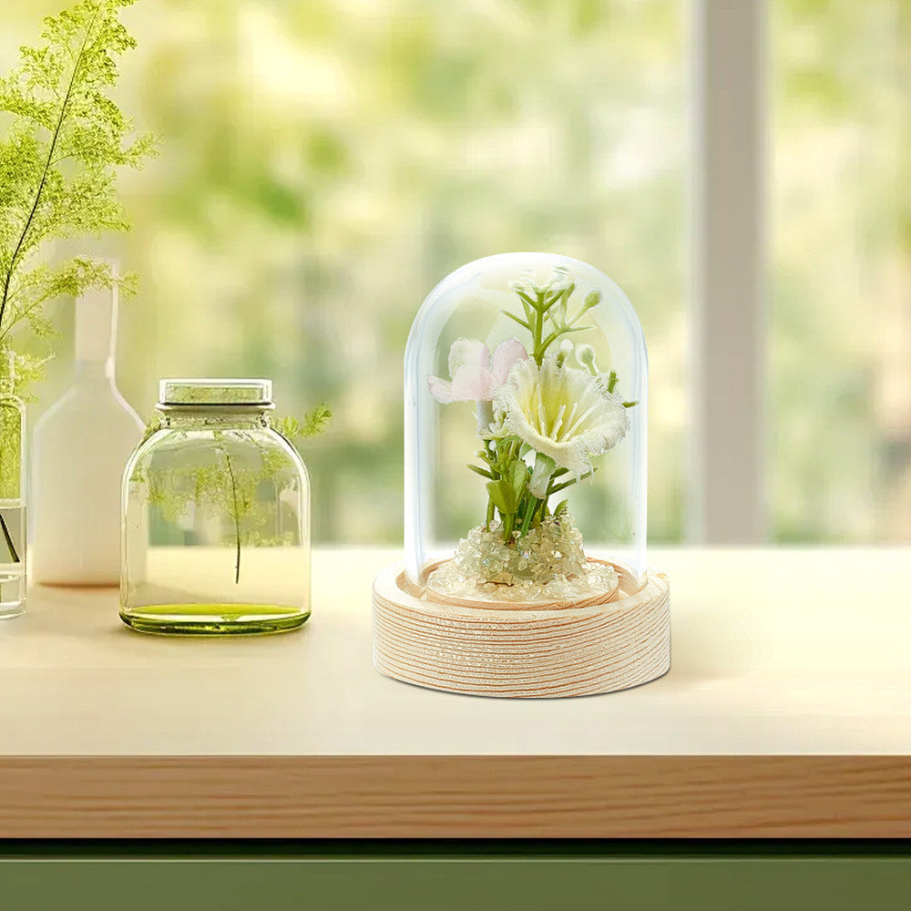 Vitrina con cúpula de cristal y base de madera, campana de 6.1cm x 8.0cm, terrario en forma de campana