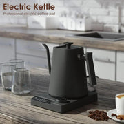 Electric Kettle Stainless Steel Gooseneck 1200W with Temp Control Glass Water Heater