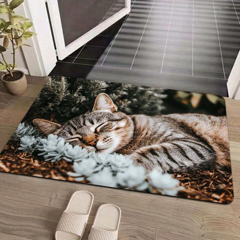 Indoor Cat Nap Doormat Polyester Non-Slip Bathroom Kitchen Living Room Decor