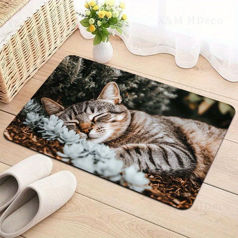 Indoor Cat Nap Doormat Polyester Non-Slip Bathroom Kitchen Living Room Decor