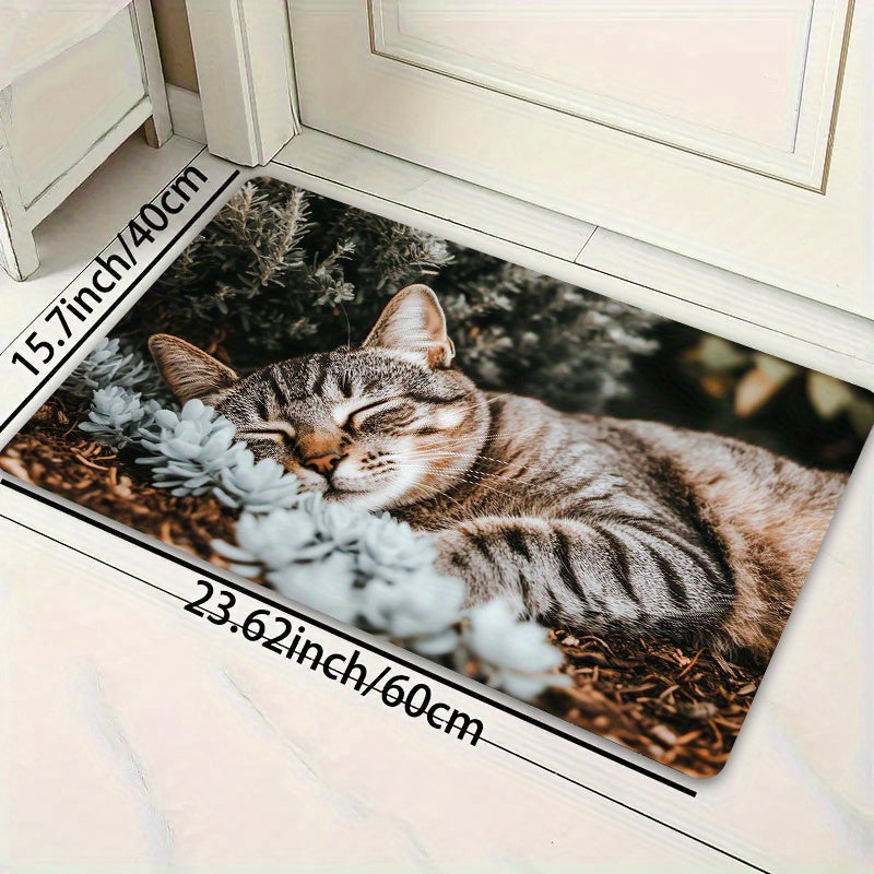 Indoor Cat Nap Doormat Polyester Non-Slip Bathroom Kitchen Living Room Decor