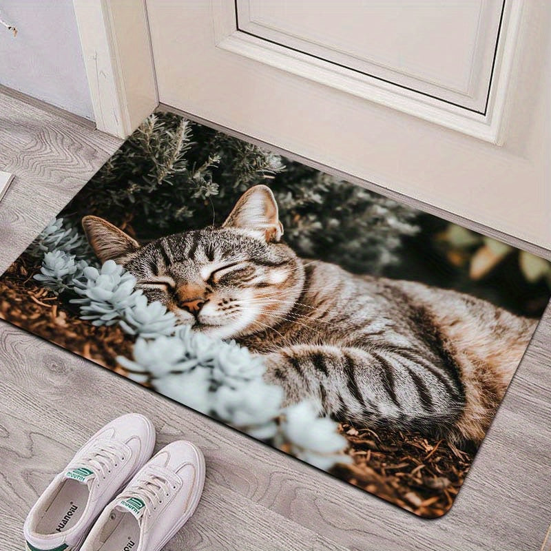 Indoor Cat Nap Doormat Polyester Non-Slip Bathroom Kitchen Living Room Decor