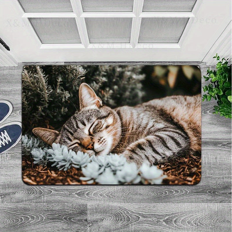 Indoor Cat Nap Doormat Polyester Non-Slip Bathroom Kitchen Living Room Decor