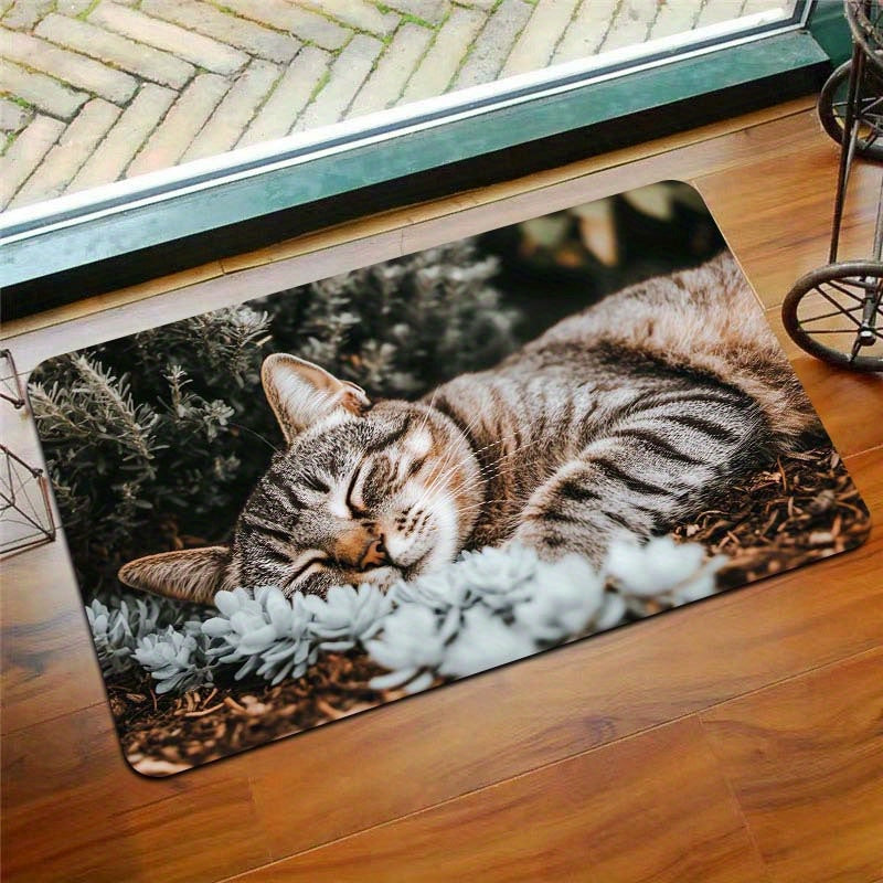 Indoor Cat Nap Doormat Polyester Non-Slip Bathroom Kitchen Living Room Decor