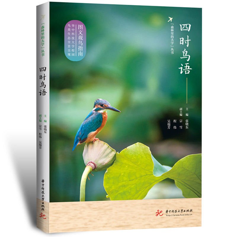 Seasonal Bird Song Music Album for Children Ages 11 and Up