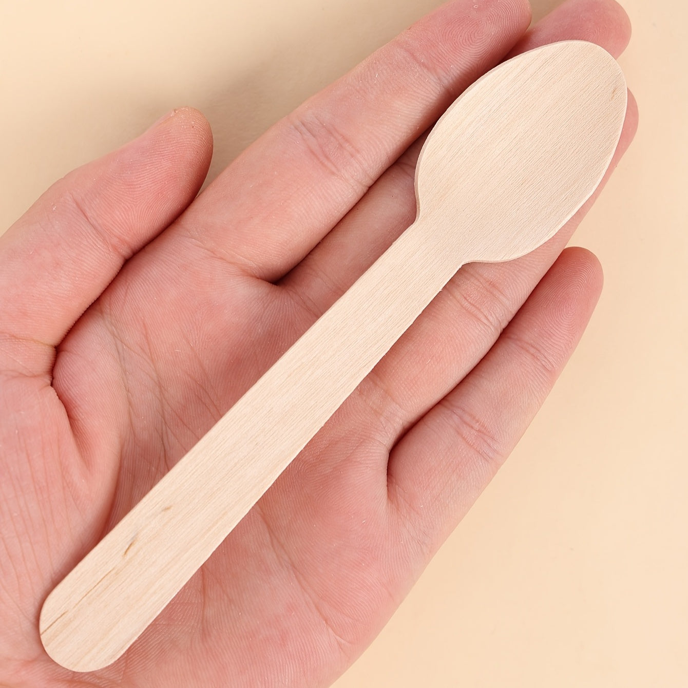 Set of 10 Biodegradable Wooden Cutlery Pieces for Parties and Events