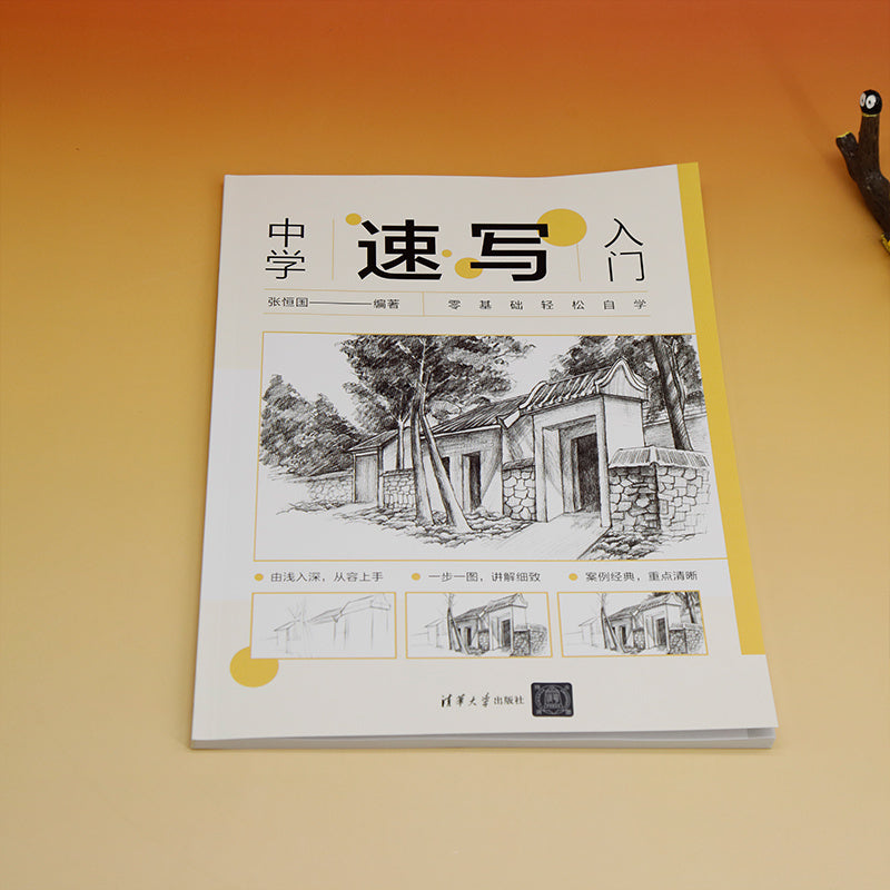 Middle School Sketching Introduction Chinese Version 96 Pages Educational Art Book