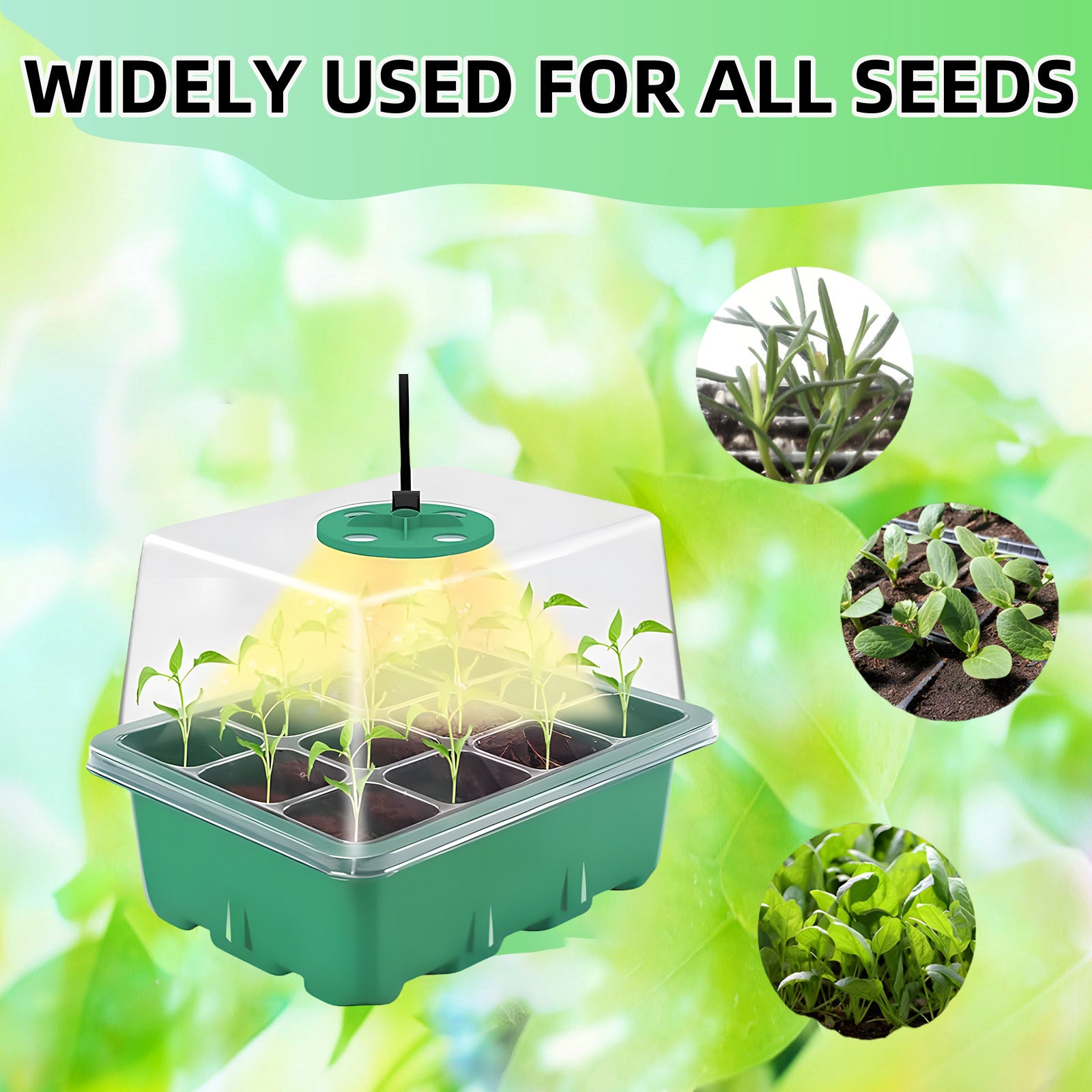 Rustic Seed Starter Kit with Adjustable Humidity USB Grow Light 12-Cell Propagator