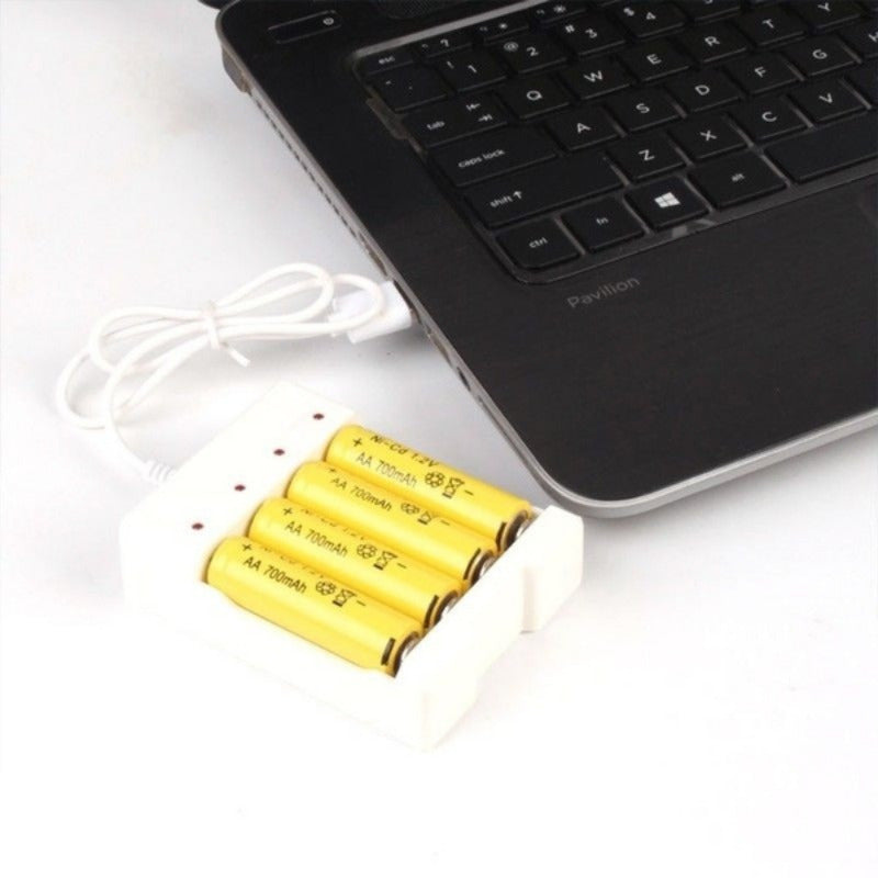 Smart USB Battery Charger for AA AAA Lithium Batteries with LED Indicator