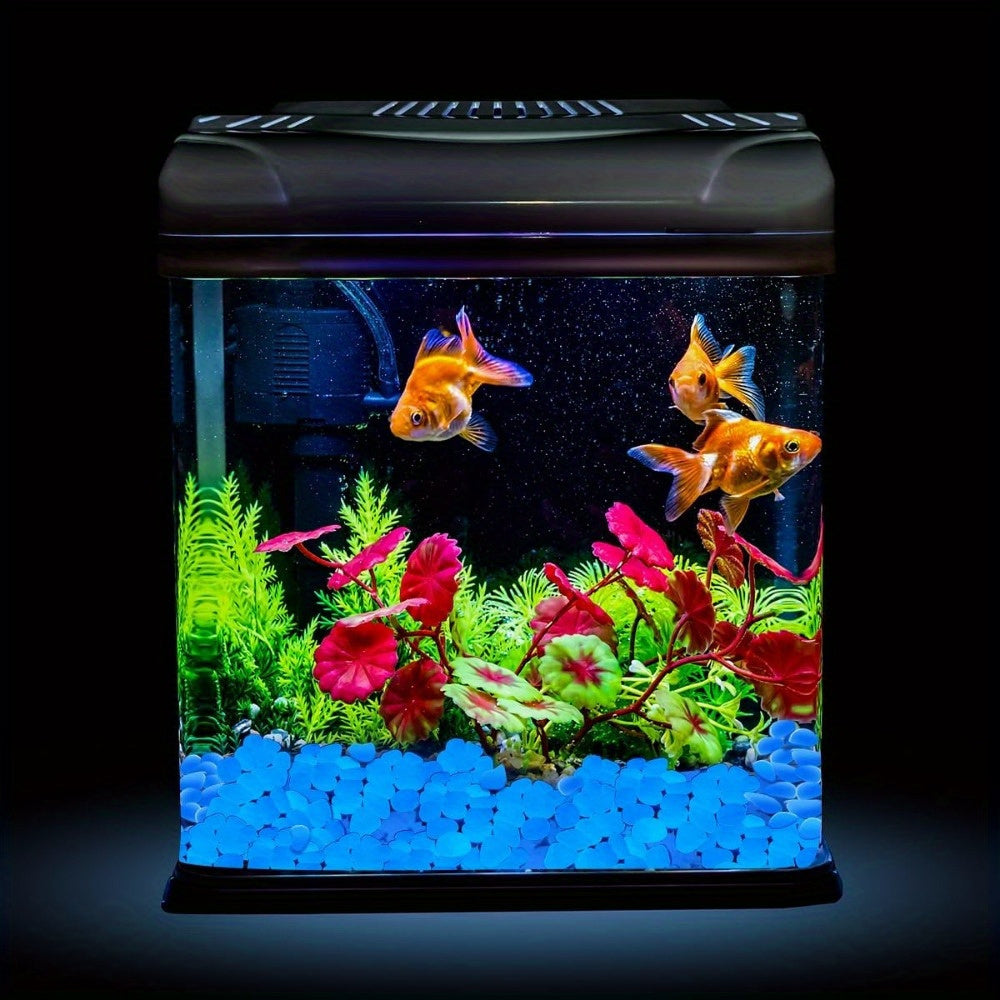 Bog yo‘lagi uchun Ko‘k Nur beradigan Tungi toshlar, bog‘ni bezash uchun 500 dona