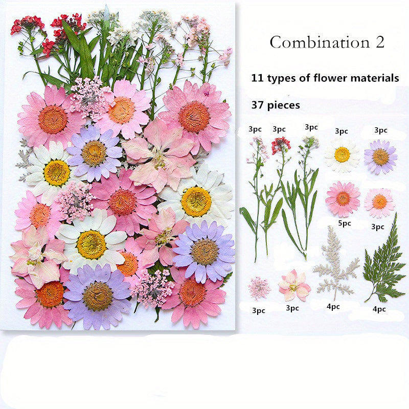 Dried Pressed Flower Set for Crafts and DIY Art Projects for Adults Mixed Color