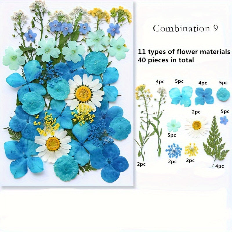 Dried Pressed Flower Set for Crafts and DIY Art Projects for Adults Mixed Color