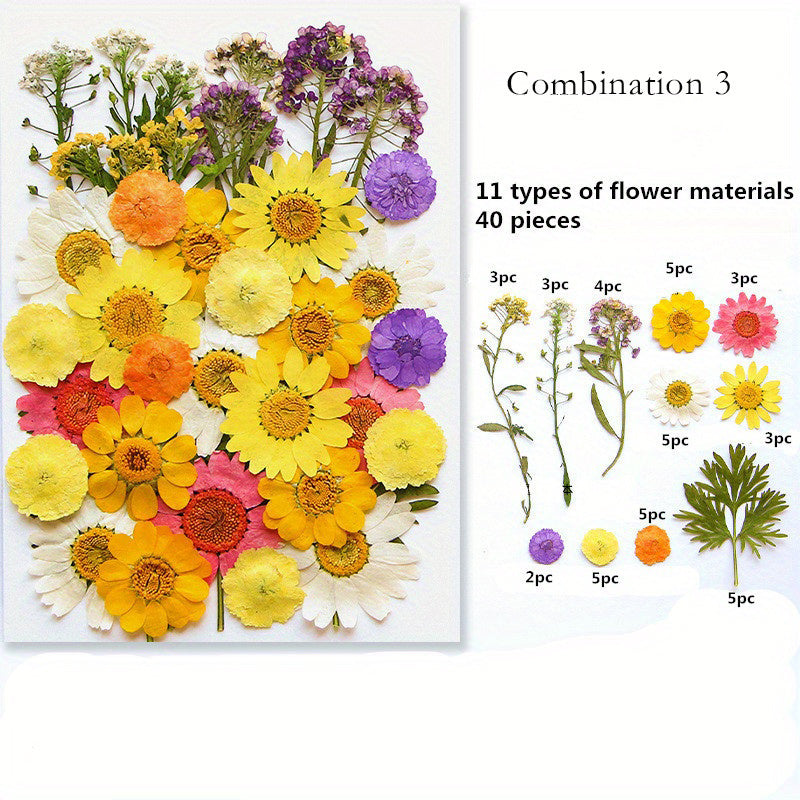 Dried Pressed Flower Set for Crafts and DIY Art Projects for Adults Mixed Color