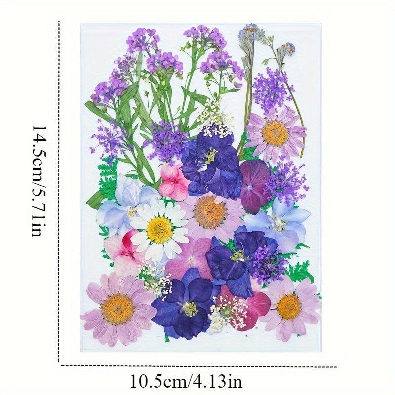 Dried Pressed Flower Set for Crafts and DIY Art Projects for Adults Mixed Color